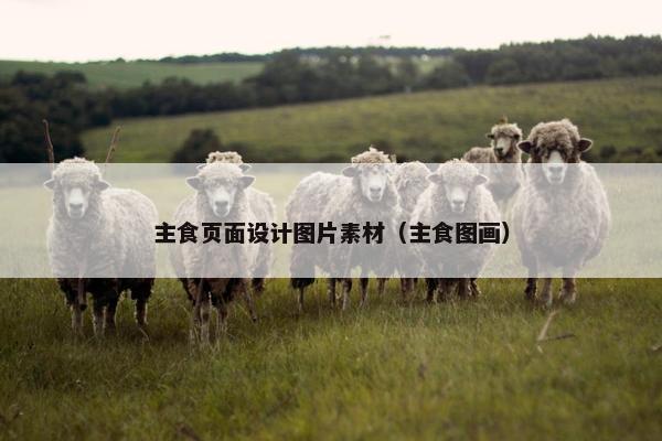 主食页面设计图片素材（主食图画）