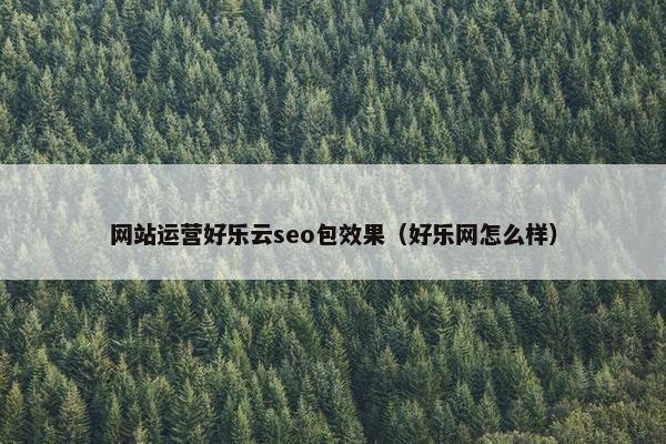 网站运营好乐云seo包效果（好乐网怎么样）