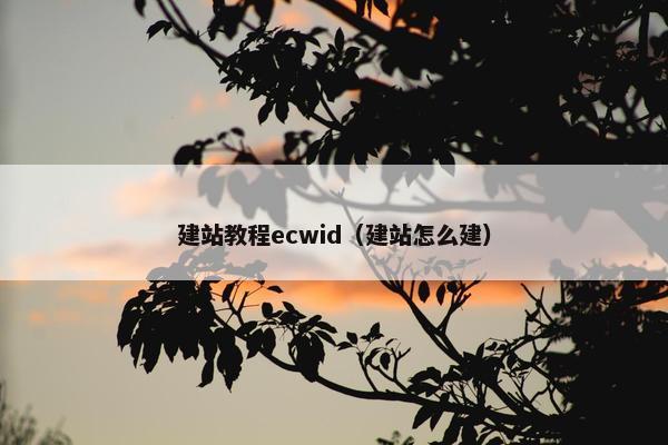 建站教程ecwid（建站怎么建）
