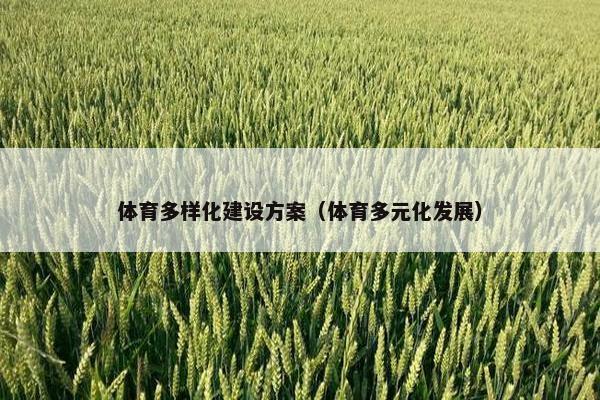 体育多样化建设方案（体育多元化发展）