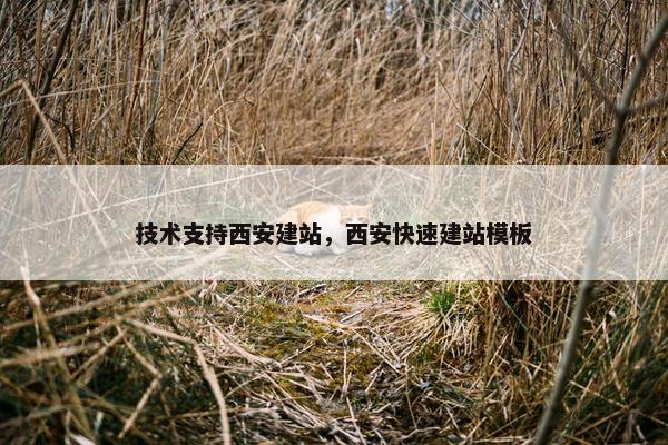 技术支持西安建站，西安快速建站模板