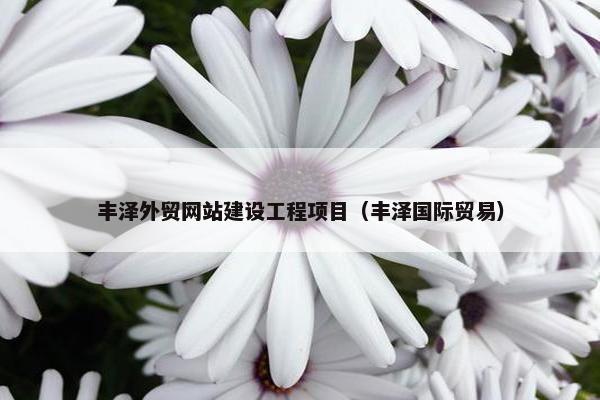 丰泽外贸网站建设工程项目（丰泽国际贸易）