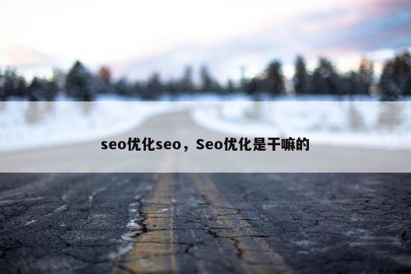 seo优化seo，Seo优化是干嘛的