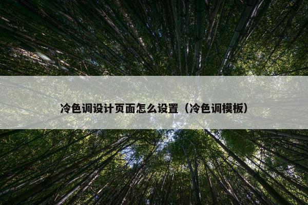 冷色调设计页面怎么设置（冷色调模板）