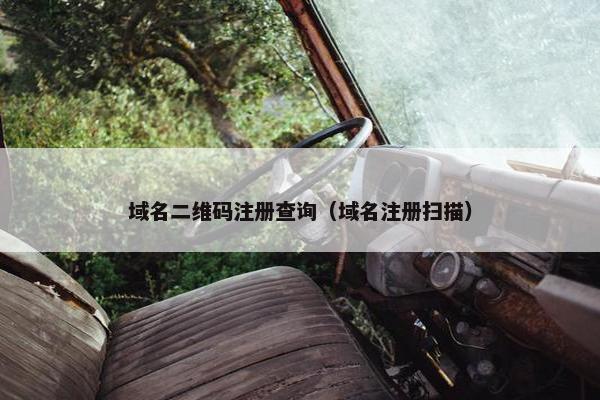 域名二维码注册查询（域名注册扫描）