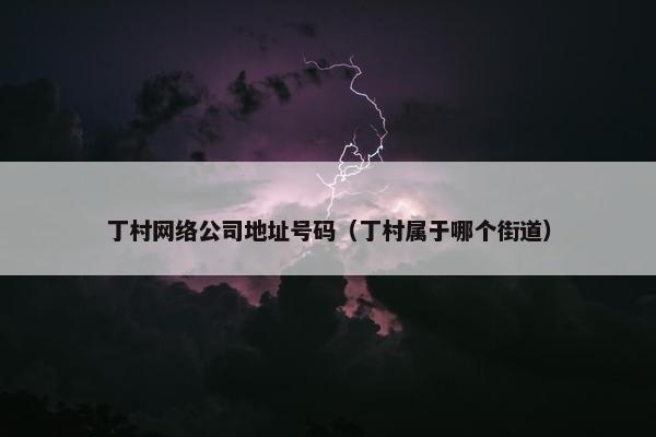 丁村网络公司地址号码（丁村属于哪个街道）