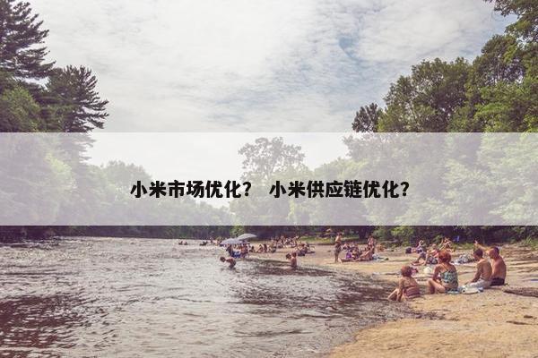 小米市场优化？ 小米供应链优化？