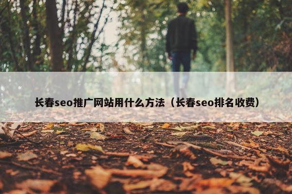 长春seo推广网站用什么方法（长春seo排名收费）