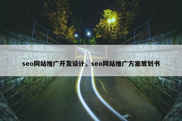 seo网站推广开发设计，seo网站推广方案策划书