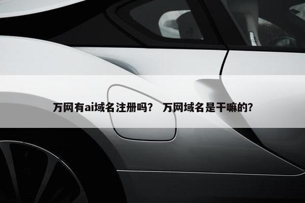 万网有ai域名注册吗？ 万网域名是干嘛的？