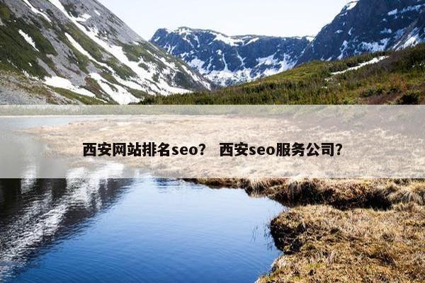 西安网站排名seo？ 西安seo服务公司？