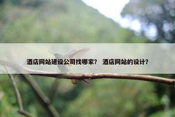 酒店网站建设公司找哪家？ 酒店网站的设计？