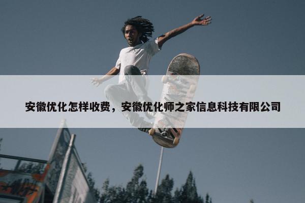 安徽优化怎样收费，安徽优化师之家信息科技有限公司