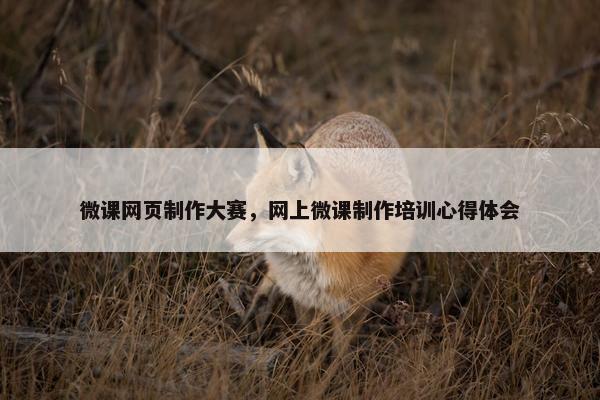 微课网页制作大赛，网上微课制作培训心得体会