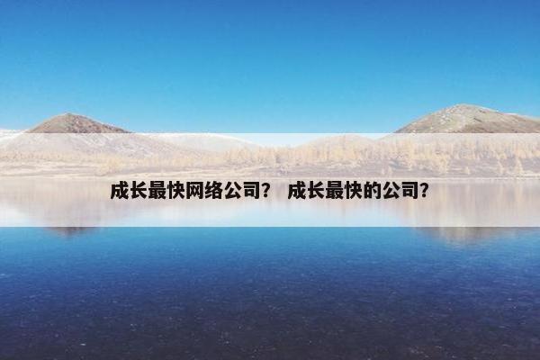 成长最快网络公司？ 成长最快的公司？
