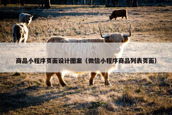 商品小程序页面设计图案（微信小程序商品列表页面）