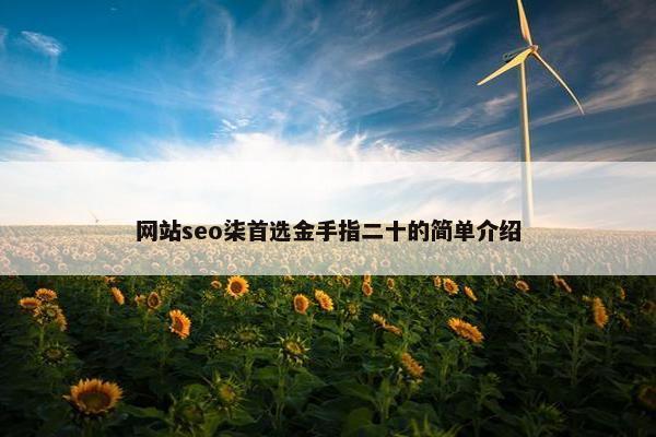 网站seo柒首选金手指二十的简单介绍