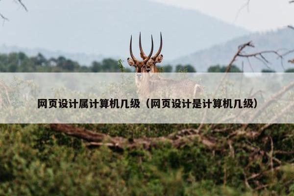 网页设计属计算机几级（网页设计是计算机几级）