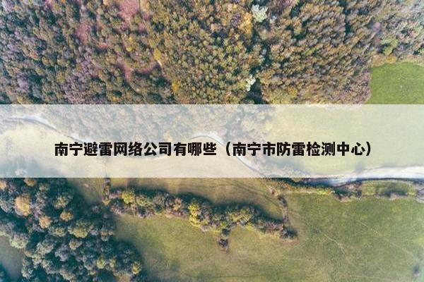 南宁避雷网络公司有哪些（南宁市防雷检测中心）