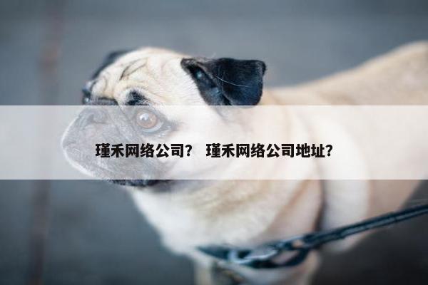 瑾禾网络公司？ 瑾禾网络公司地址？