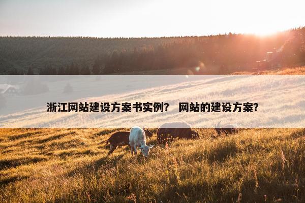 浙江网站建设方案书实例？ 网站的建设方案？