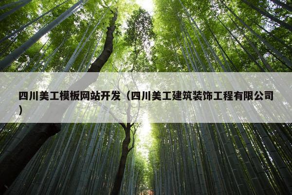 四川美工模板网站开发（四川美工建筑装饰工程有限公司）