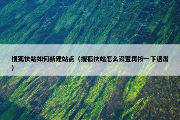 搜狐快站如何新建站点（搜狐快站怎么设置再按一下退出）