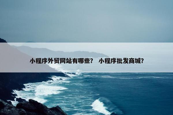 小程序外贸网站有哪些？ 小程序批发商城？