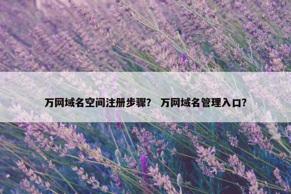 万网域名空间注册步骤？ 万网域名管理入口？