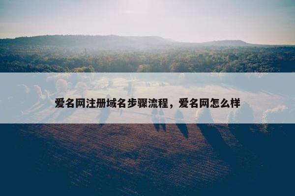 爱名网注册域名步骤流程，爱名网怎么样