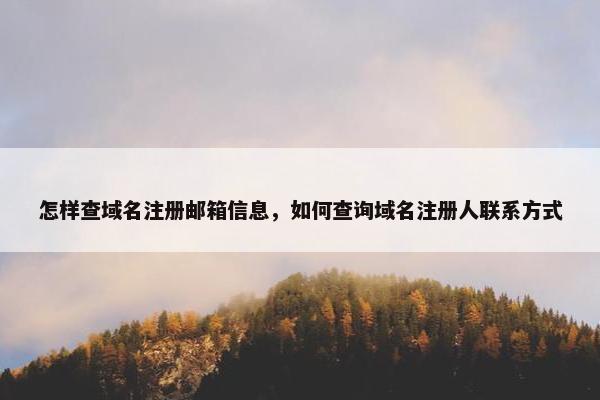 怎样查域名注册邮箱信息，如何查询域名注册人联系方式