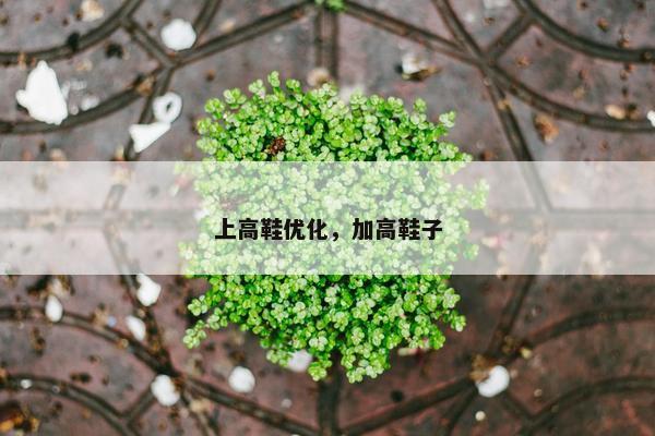 上高鞋优化，加高鞋子