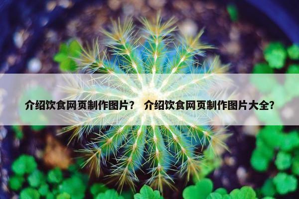 介绍饮食网页制作图片？ 介绍饮食网页制作图片大全？