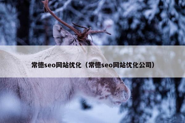 常德seo网站优化（常德seo网站优化公司）