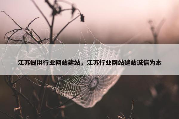 江苏提供行业网站建站，江苏行业网站建站诚信为本