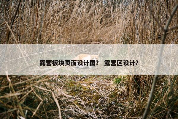 露营板块页面设计图？ 露营区设计？
