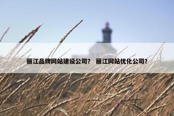 丽江品牌网站建设公司？ 丽江网站优化公司？
