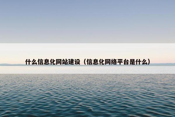 什么信息化网站建设（信息化网络平台是什么）