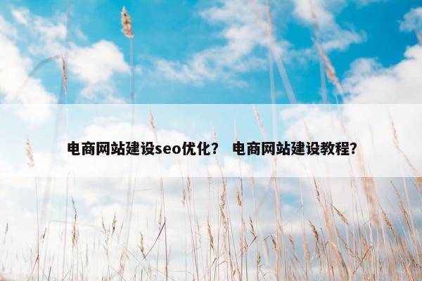 电商网站建设seo优化？ 电商网站建设教程？