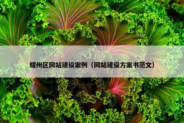 耀州区网站建设案例（网站建设方案书范文）