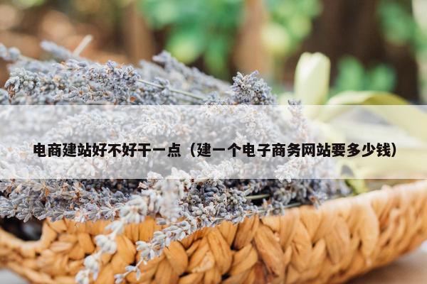 电商建站好不好干一点（建一个电子商务网站要多少钱）
