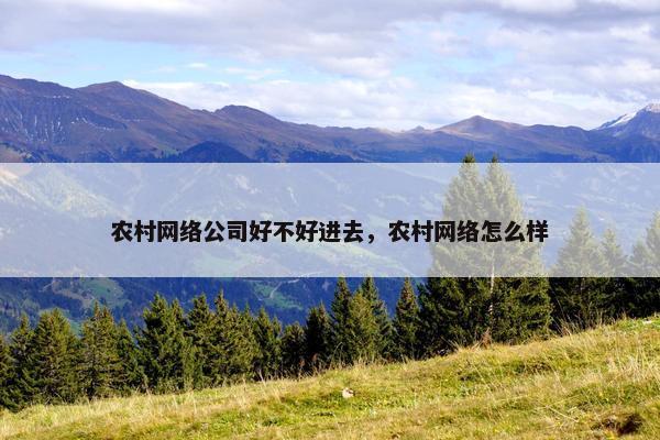 农村网络公司好不好进去，农村网络怎么样