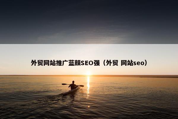 外贸网站推广蓝颜SEO强（外贸 网站seo）