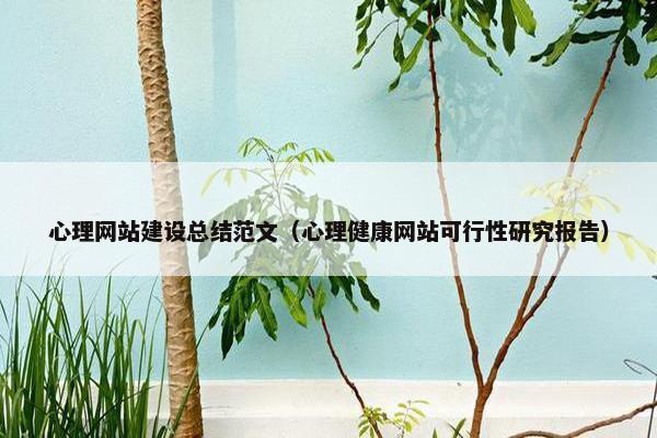 心理网站建设总结范文（心理健康网站可行性研究报告）