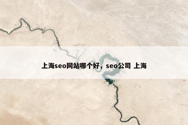 上海seo网站哪个好，seo公司 上海