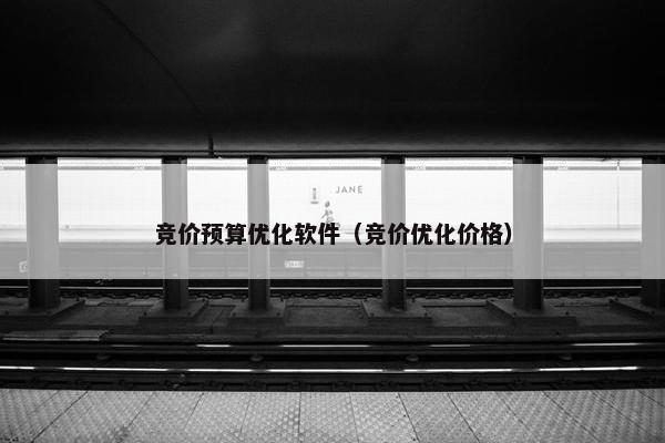 竞价预算优化软件（竞价优化价格）