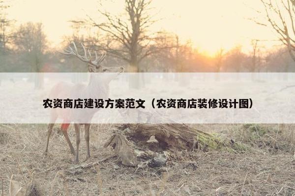 农资商店建设方案范文（农资商店装修设计图）