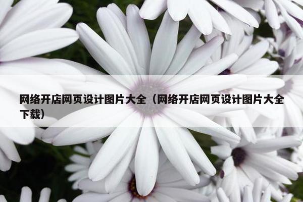 网络开店网页设计图片大全（网络开店网页设计图片大全下载）