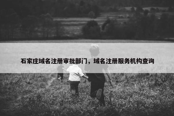 石家庄域名注册审批部门，域名注册服务机构查询