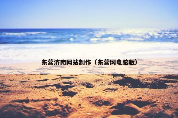 东营济南网站制作（东营网电脑版）